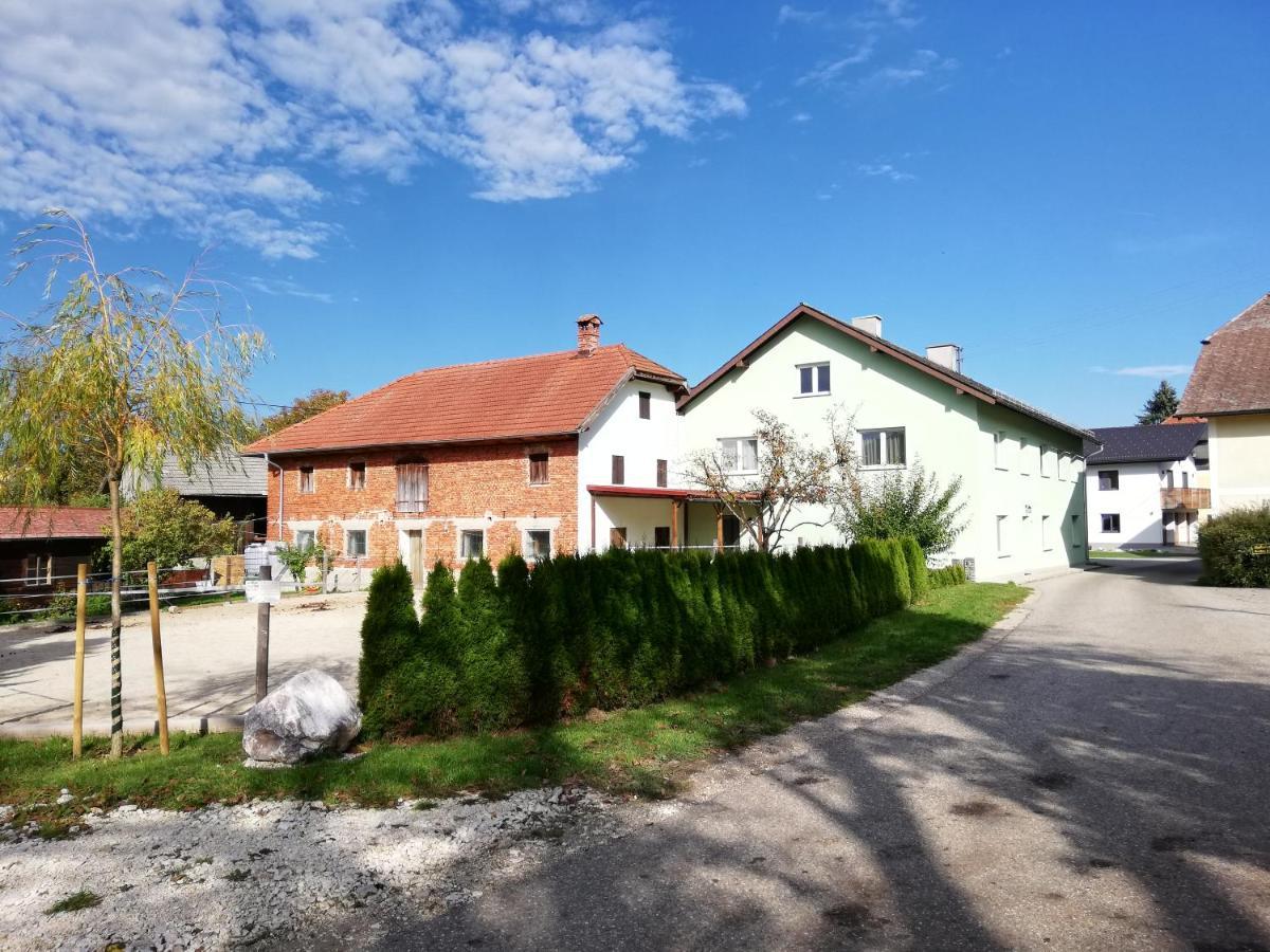 Aurach am Hongar Ferienwohnung Schmied 1 מראה חיצוני תמונה