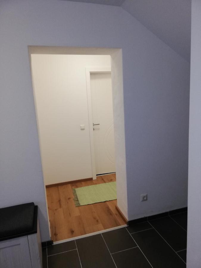Aurach am Hongar Ferienwohnung Schmied 1 מראה חיצוני תמונה